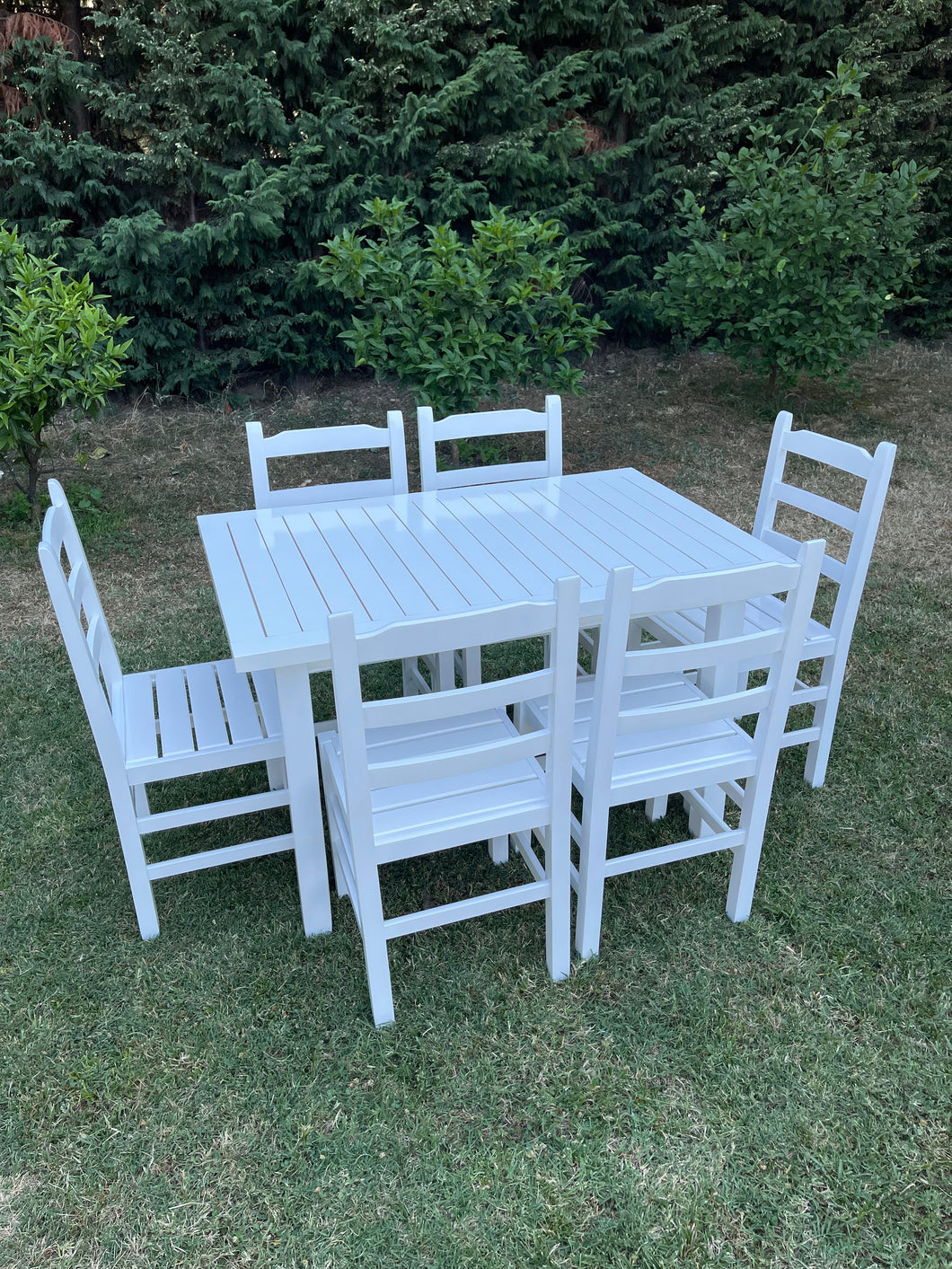Set Tavolinë dhe 6 Karrige Druri