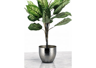 Vazo Bimësh Argjend 25 cm