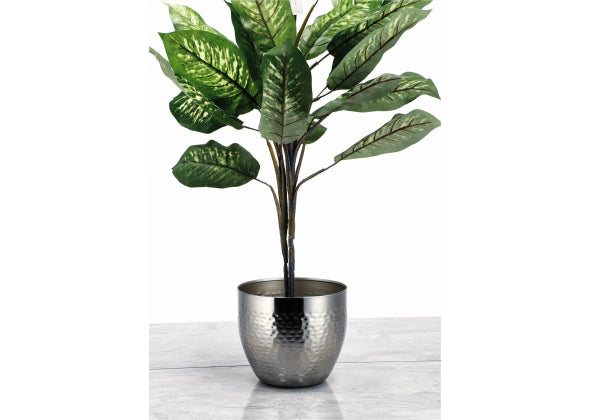 Vazo Bimësh Argjend 25 cm