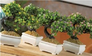 Vazo me Bonsai për Dekorim (3612166226013)